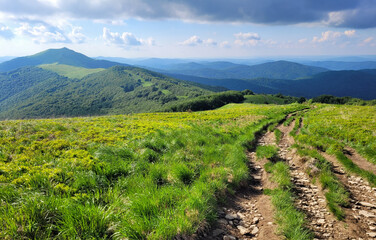 Zielony szlak przez góry Bieszczady.