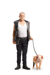 Full length portrait of a mature man standing with a pig pet on a lead