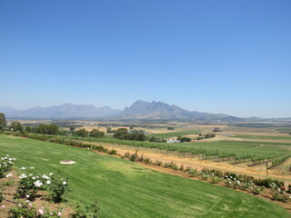 Fototapeta na wymiar Winery, Paarl, Western Cape, South Africa