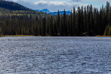 Beaverdam Provincial Recreation Area Clearwater County Alberta Canada