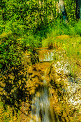 Water flows through the park in summer. Big Hill Springs Provincial Recreation Area. Alberta, Canada