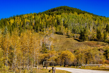 Elk Creek Provincial Recreation Area Clearwater County Alberta Canada