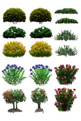 Fototapeta premium Pack of PNG vegetation. +6K. Flowering Bushes. Made from 3D model for compositing