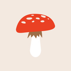 mushroom illustration of mushroom vector illustration
