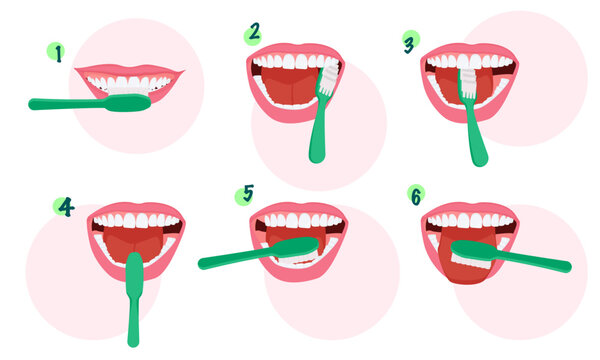 Step-by-step instructions for brushing teeth. Toothbrush and toothpaste for oral hygiene. Clean white tooth. Healthy teeth.