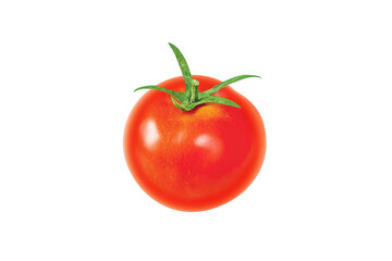 Single red tomato whole vegetable with green tail isolated transparent png. Solanum lycopersicum ripe fruit.