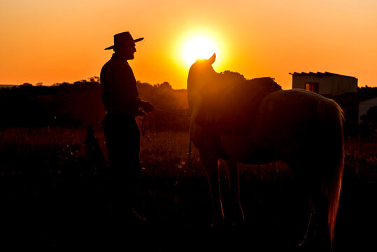 Silhouette of gaucho with horse in the countryside at sunset