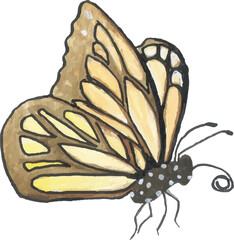 Butterfly Watercolor