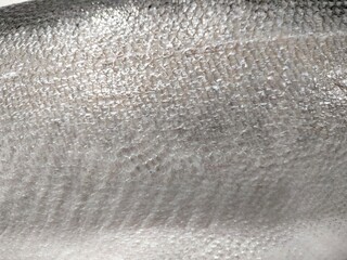 Close-up of silver fish scales. salmon fish scales background © kanin