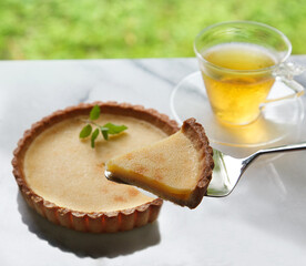 チーズタルトケーキ　　スタジオ撮影　