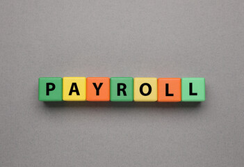 Word Payroll made of colorful wooden cubes with letters on grey background, top view