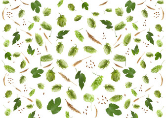 Hops, green leaves and ears of wheat on white background