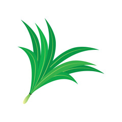 Pandan leaf illustration icon free