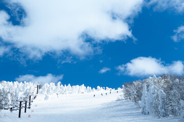 白銀世界の山形蔵王の樹氷とスキー場ゲレンデ