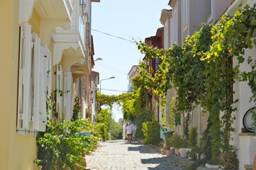 Mediterranean Street with Ancient Buildings and Trees 