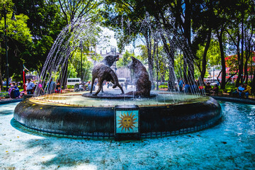 Coyotes Water Fountain Urban Destination Coyoacan Mexico City Famous Artistic Cultural Park