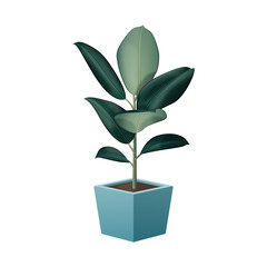 Fototapeta Fikus - egzotyczne liście w jasnej niebieskiej doniczce. Botaniczna ilustracja tropikalnej rośliny. Ficus elastica. obraz