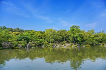 新緑に包まれた日本庭園の情景＠大阪