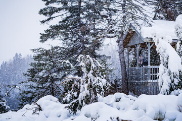 Woman wearing winter clothes standing under a shelter and watching the snow fall near Saguenay, Quebec (Canada)