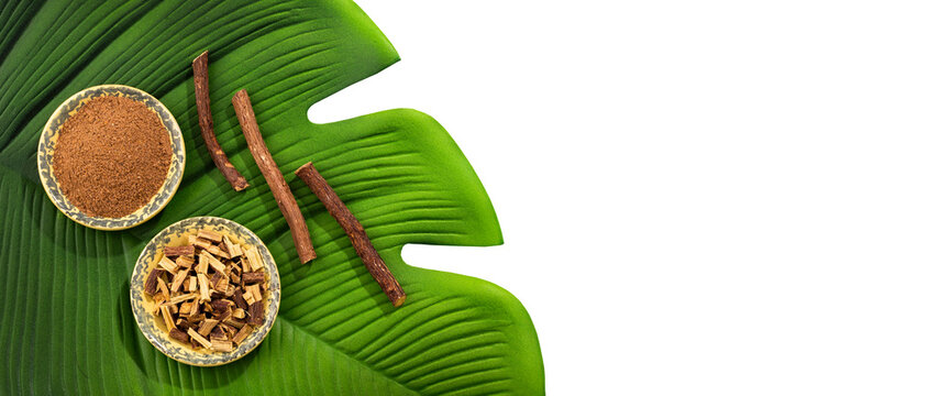 Glycyrrhiza glabra - Licorice, an effective medicinal plant for coughs and stomach ailments