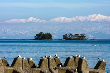 冬の氷見海岸から日本海越しの雪の立山連峰
