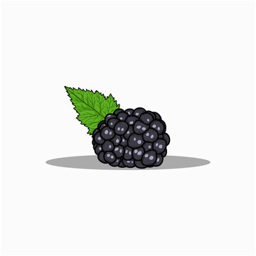 blackberry on a white