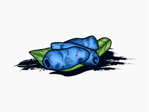 Canning illustration