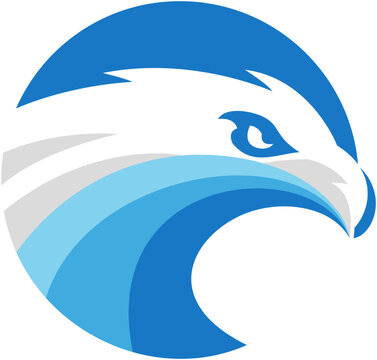 Eagle illustration