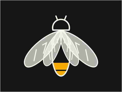 Firefly illustration