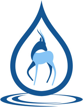 water drop and gazelle