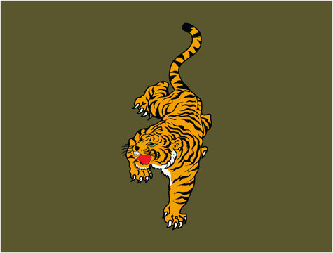 tiger illustration