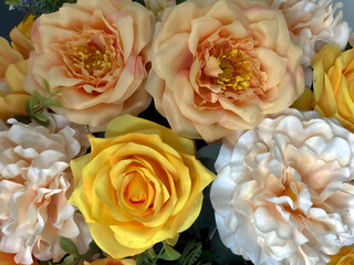 Flowers of various colors, background, natural, fragrant.selective focus 