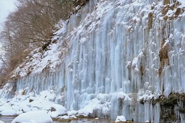 一面に拡がる氷柱白川氷柱群