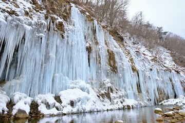 一面に拡がる氷柱白川氷柱群