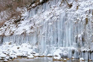 一面に拡がる氷柱白川氷柱群