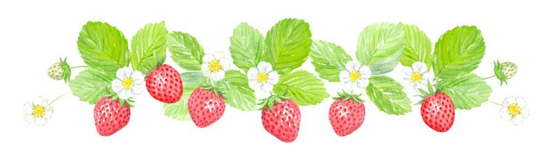 Watercolor painting of strawberry line decoration with transparent background