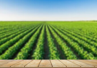 Wooden table top on blur cassava field background in daytime.Harvest rice or whole wheat.For...