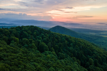 Aerial view of green pine forest with dark spruce trees covering mountain hills. Nothern woodland scenery from above