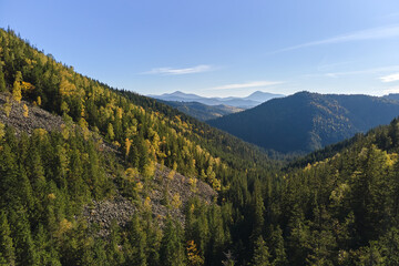 High hills with dark pine woods on autumn bright day. Amazing scenery of wild mountain woodland
