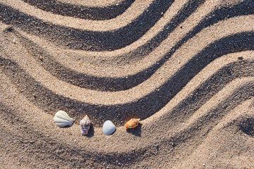 Fototapeta na wymiar Travel and vacation season, summer holiday background. Top view of sea shells on beach sand