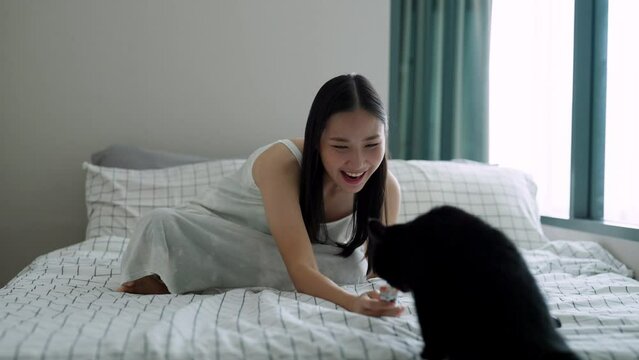 4K Attractive Asian woman feeding cat Treats to her black cat on the bed in bedroom. Happy girl enjoy indoor lifestyle playing with scottish straight kitten at home. Pets owner relationship concept