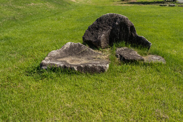 lawn and rocks