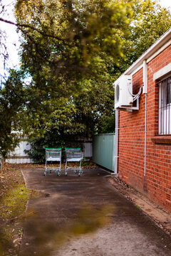 Two lost shopping trollies in alley - pair of shopping carts