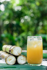 Sugar cane juice, Sugar cane drink with ice.