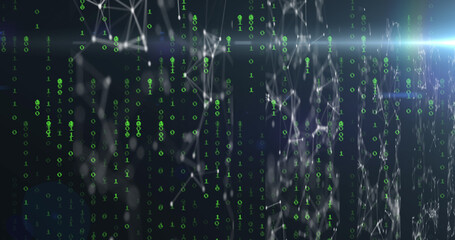 Image of binary coding and data processing over network of connections