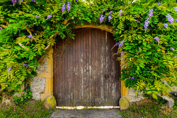 Beautiful gate with natural lining at Ternand village in France