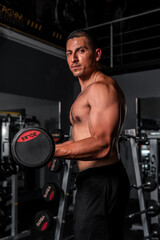 Fototapeta na wymiar High quality photography. Shirtless Latino man lifting weights. Muscular Hispanic man working his biceps at the gym. Workout routine of a muscular man.