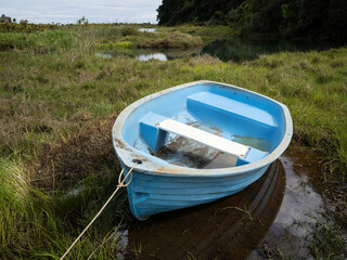 Small blue plastic dinghy boat on green grass on river bank 