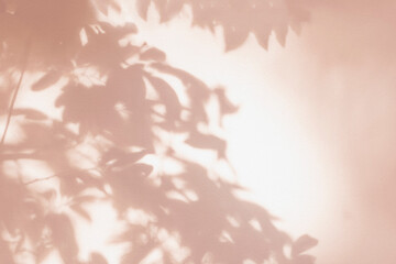 Leaf shadow and light on wall pink background. Nature tropical leaves tree branch and plant shade with sunlight from sunshine on white wall texture for background wallpaper, shadow overlay effect