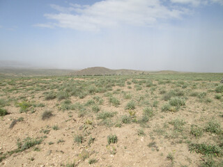 Photo of nature for background.